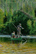 &ldquo;The Small Canoe&rdquo; by Greg Ames