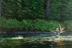 &ldquo;Cascapedia Spey&rdquo; by Greg Ames