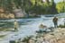 &ldquo;Fighting Salmon&rdquo; by Ogden Pleissner