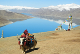 Click to enlarge A Vision of Tibet