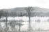 Inondations de 1949
