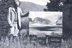 G.H. Hallowell (1920)