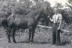 George Duthie